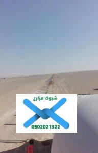 صور الشبوك بالرياض