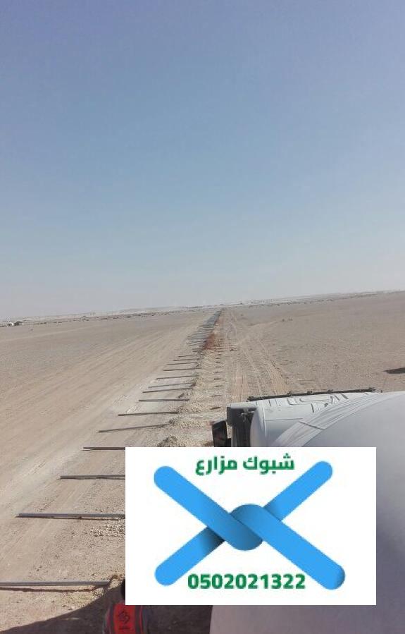 صور الشبوك بالرياض