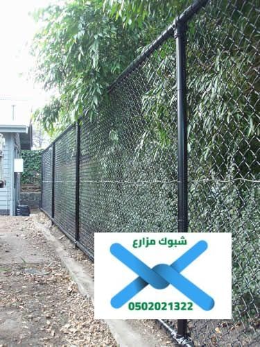 شبوك مزارع القصيم