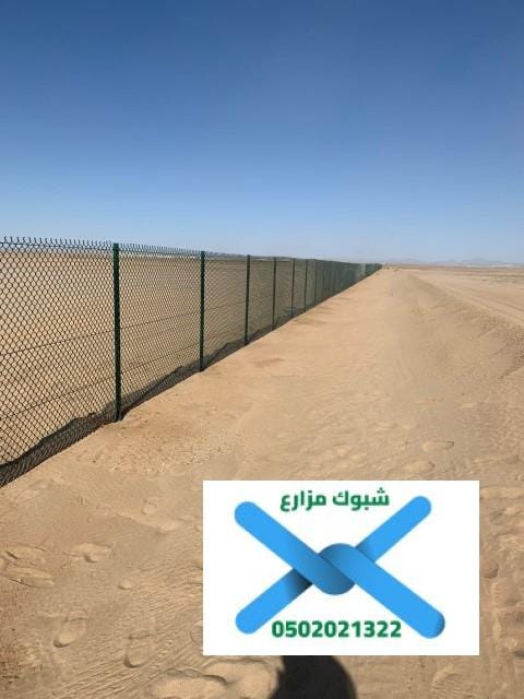 شبوك مزارع المجمعة