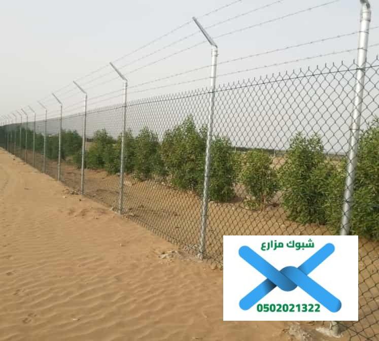 شبوك مزارع في الطائف